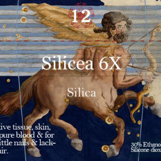 Silicea
